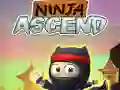 Joc Ascensiunea Ninja on-line Joc Ascensiunea Ninja on-line
