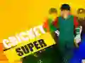 Joc Super Cricket on-line