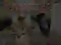 Joc Poveștile Gardienilor de Noapte: Spitalul Zombi on-line Joc Poveștile Gardienilor de Noapte: Spitalul Zombi on-line