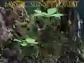 Joc Pădurea mistică la apus on-line Joc Pădurea mistică la apus on-line