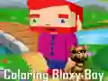 Joc Colorarea lui Bloxy Boy on-line Joc Colorarea lui Bloxy Boy on-line