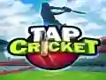 Joc Tap Cricket on-line