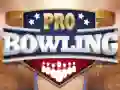 Joc Bowling Profesional on-line