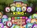 Joc Regele Bingo on-line