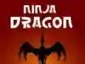 Joc Ninja Dragon on-line Joc Ninja Dragon on-line