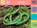 Joc Quiz cu 15 Imagini on-line Joc Quiz cu 15 Imagini on-line