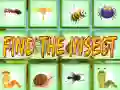 Joc Găsește Insecta on-line