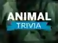 Joc Trivia despre Animale on-line