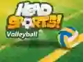 Joc Volei Head Sports on-line Joc Volei Head Sports on-line
