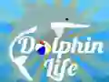 Joc Viața delfinului on-line Joc Viața delfinului on-line