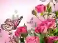 Joc Puzzle cu Fluturi on-line Joc Puzzle cu Fluturi on-line