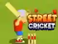 Joc Cricket de Stradă on-line