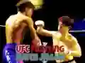 Joc UFC Luptă Match Jigsaw on-line Joc UFC Luptă Match Jigsaw on-line