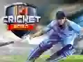 Joc Cricket 2020 on-line Joc Cricket 2020 on-line