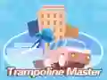 Joc Maestru de trampolină on-line Joc Maestru de trampolină on-line