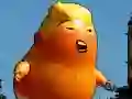 Joc Aventura Zburătoare a lui Trump on-line Joc Aventura Zburătoare a lui Trump on-line