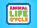 Joc Ciclul de viață al animalelor on-line Joc Ciclul de viață al animalelor on-line