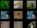 Joc Memoria Animalelor on-line Joc Memoria Animalelor on-line