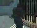 Joc Echipa de Apărare împotriva Zombilor on-line Joc Echipa de Apărare împotriva Zombilor on-line