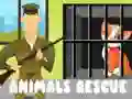 Joc Rescue pentru Animale on-line Joc Rescue pentru Animale on-line
