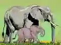 Joc Animale sălbatice și puii lor on-line Joc Animale sălbatice și puii lor on-line