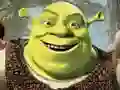 Joc Colecția de Puzzles Shrek on-line