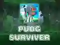 Joc PUBG Supraviețuitor on-line Joc PUBG Supraviețuitor on-line