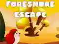 Joc Evadare de pe mal on-line Joc Evadare de pe mal on-line