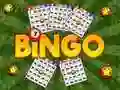 Joc Bingo Revelat on-line