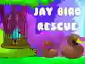 Joc Salvarea Păsării Jay on-line