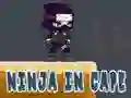 Joc Ninja în Pelerină on-line Joc Ninja în Pelerină on-line