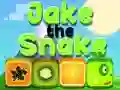 Joc Jake Șarpele on-line Joc Jake Șarpele on-line