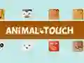 Joc Animale Toush on-line Joc Animale Toush on-line