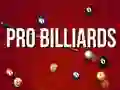 Joc Biliard Profesionist on-line