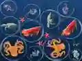 Joc Fuzionarea Peștilor Oceanici on-line Joc Fuzionarea Peștilor Oceanici on-line