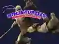 Joc Memoria Torturilor Ninja on-line