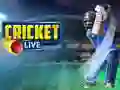 Joc Cricket Live on-line Joc Cricket Live on-line