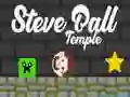Joc Templul lui Steve Ball on-line Joc Templul lui Steve Ball on-line