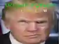 Joc Trump Față Amuzantă on-line Joc Trump Față Amuzantă on-line