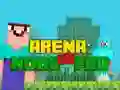 Joc Arenă: Noob vs Pro on-line Joc Arenă: Noob vs Pro on-line