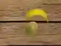 Joc Împușcătura de Fructe on-line