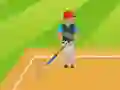 Joc Cricket 2D on-line