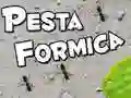 Joc Sărbătoarea Furnicilor on-line Joc Sărbătoarea Furnicilor on-line