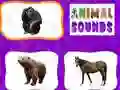 Joc Sunetele Animalelor on-line Joc Sunetele Animalelor on-line