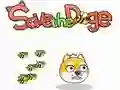 Joc Salvează Doge on-line Joc Salvează Doge on-line