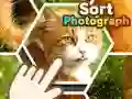 Joc Sortare fotografii on-line Joc Sortare fotografii on-line