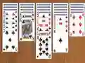 Joc Solitaire Spider Pro on-line