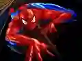 Joc Puzzle Spider-Man on-line
