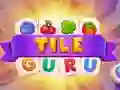 Joc Guru-ul Plăcilor on-line