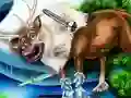 Joc Salvarea Animalelor pentru Fete on-line Joc Salvarea Animalelor pentru Fete on-line